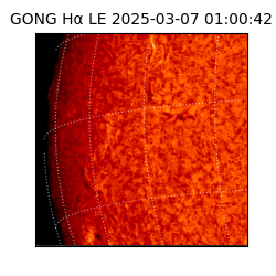 gong - 2025-03-07T01:00:42