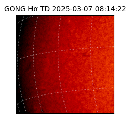 gong - 2025-03-07T08:14:22