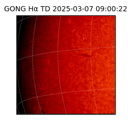 gong - 2025-03-07T09:00:22