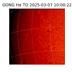 gong - 2025-03-07T10:00:22