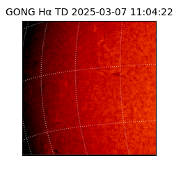 gong - 2025-03-07T11:04:22