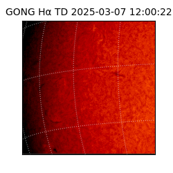 gong - 2025-03-07T12:00:22