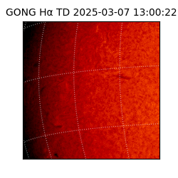 gong - 2025-03-07T13:00:22