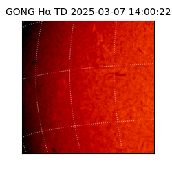 gong - 2025-03-07T14:00:22