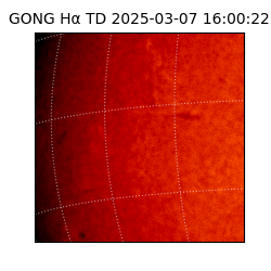 gong - 2025-03-07T16:00:22