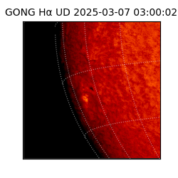 gong - 2025-03-07T03:00:02