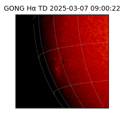 gong - 2025-03-07T09:00:22
