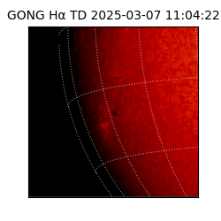 gong - 2025-03-07T11:04:22