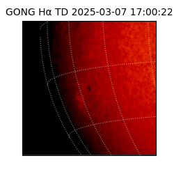 gong - 2025-03-07T17:00:22