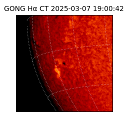 gong - 2025-03-07T19:00:42