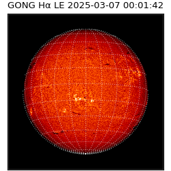 gong - 2025-03-07T00:01:42