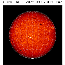 gong - 2025-03-07T01:00:42