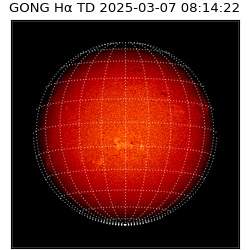 gong - 2025-03-07T08:14:22