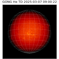 gong - 2025-03-07T09:00:22