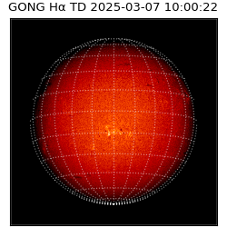 gong - 2025-03-07T10:00:22