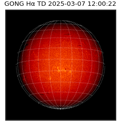 gong - 2025-03-07T12:00:22