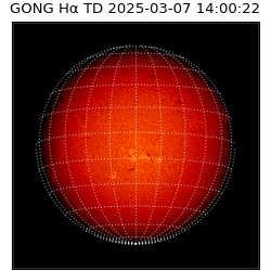 gong - 2025-03-07T14:00:22