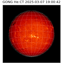 gong - 2025-03-07T19:00:42
