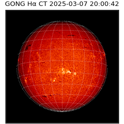 gong - 2025-03-07T20:00:42