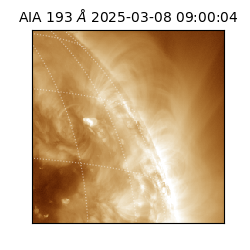 saia - 2025-03-08T09:00:04.843000