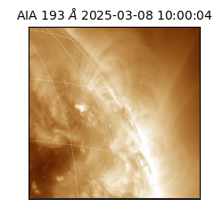 saia - 2025-03-08T10:00:04.843000