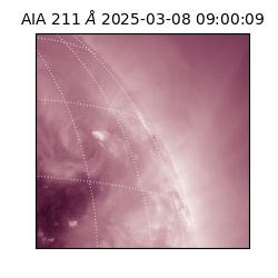 saia - 2025-03-08T09:00:09.632000