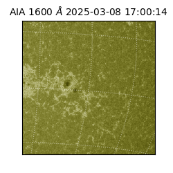 saia - 2025-03-08T17:00:14.126000