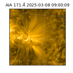 saia - 2025-03-08T09:00:09.350000