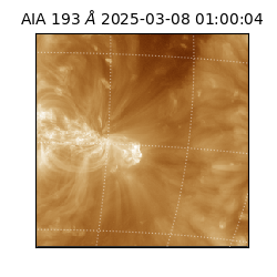 saia - 2025-03-08T01:00:04.835000