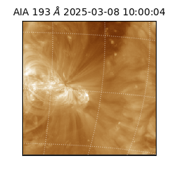 saia - 2025-03-08T10:00:04.843000