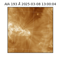 saia - 2025-03-08T13:00:04.843000