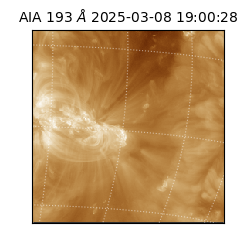 saia - 2025-03-08T19:00:28.843000