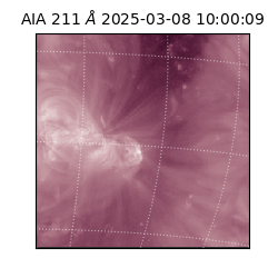 saia - 2025-03-08T10:00:09.625000