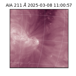 saia - 2025-03-08T11:00:57.626000