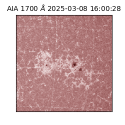 saia - 2025-03-08T16:00:28.717000