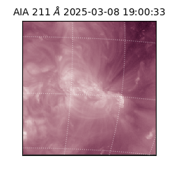 saia - 2025-03-08T19:00:33.629000