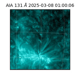 saia - 2025-03-08T01:00:06.615000