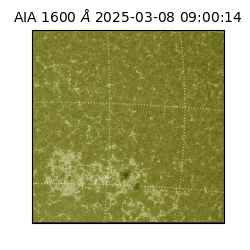 saia - 2025-03-08T09:00:14.129000