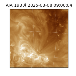 saia - 2025-03-08T09:00:04.843000