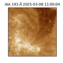 saia - 2025-03-08T11:00:04.843000