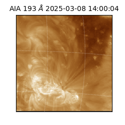 saia - 2025-03-08T14:00:04.843000