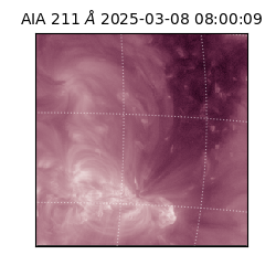 saia - 2025-03-08T08:00:09.629000