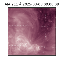 saia - 2025-03-08T09:00:09.632000