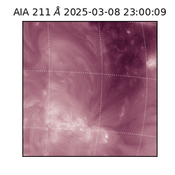 saia - 2025-03-08T23:00:09.626000