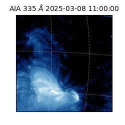 saia - 2025-03-08T11:00:00.625000