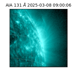 saia - 2025-03-08T09:00:06.630000