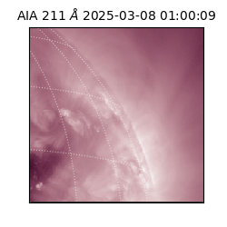 saia - 2025-03-08T01:00:09.619000