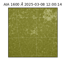 saia - 2025-03-08T12:00:14.125000