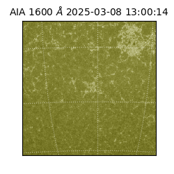 saia - 2025-03-08T13:00:14.126000