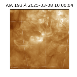 saia - 2025-03-08T10:00:04.843000